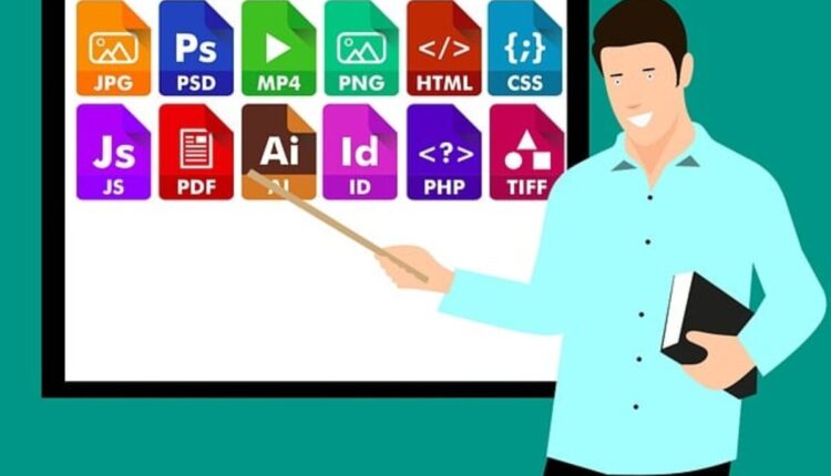 How to Litter Train a Cat