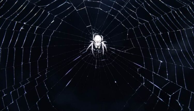 Big Brother on Tonight