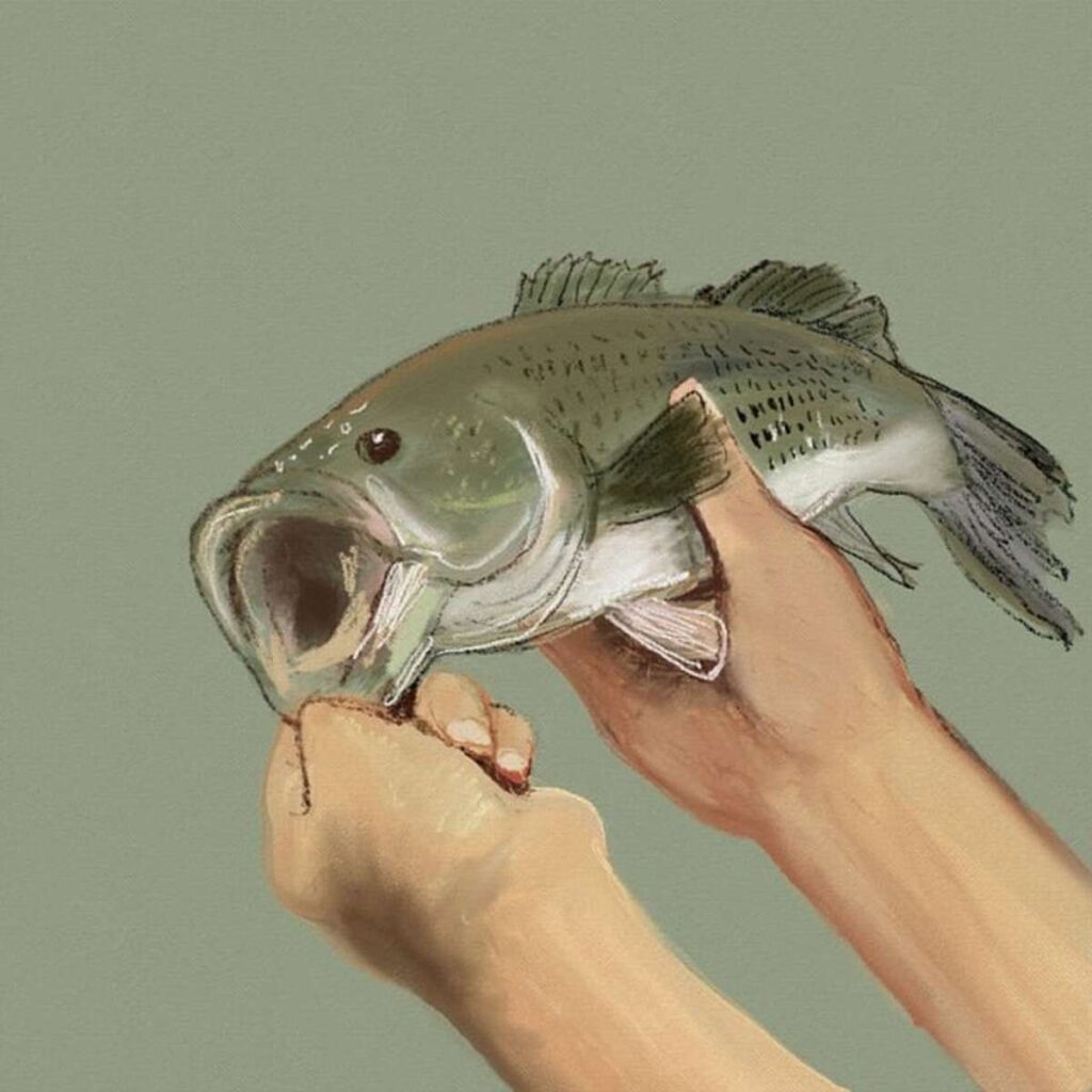 Fish Finder