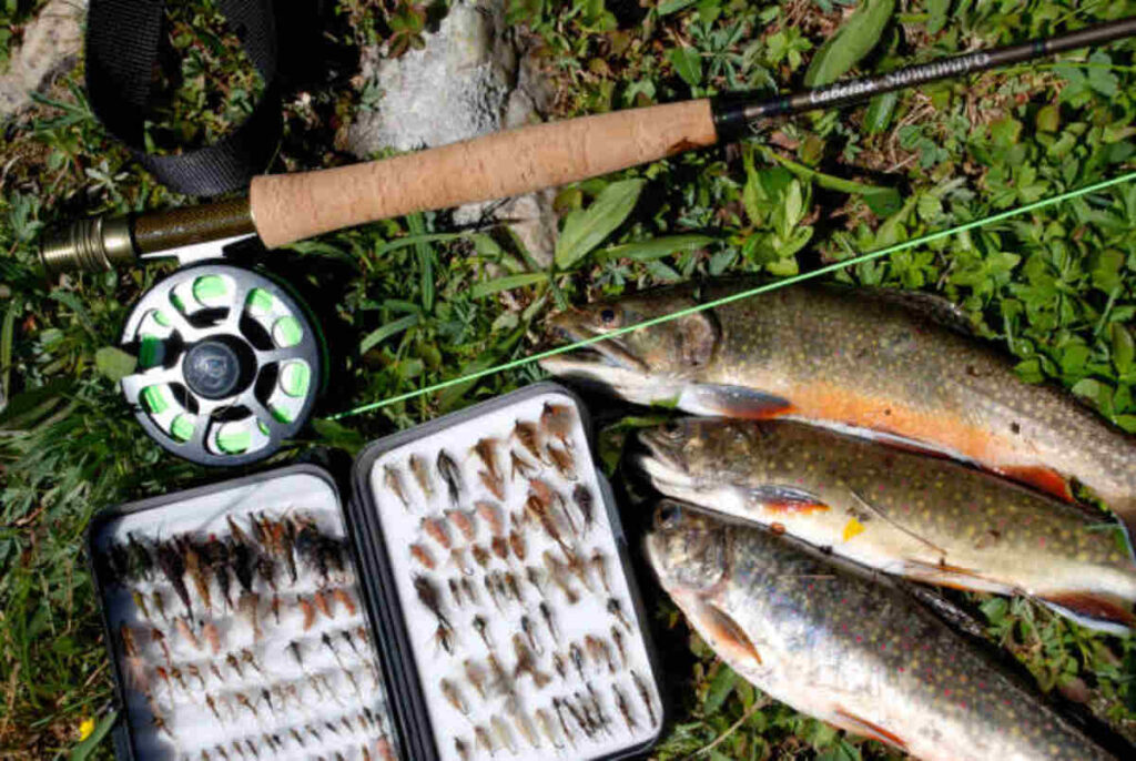 Dale Hollow Fishing Report