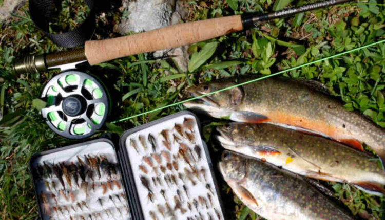 Dale Hollow Fishing Report