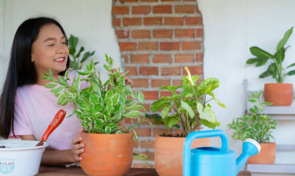 Beauty and Health Benefits of a Home Garden