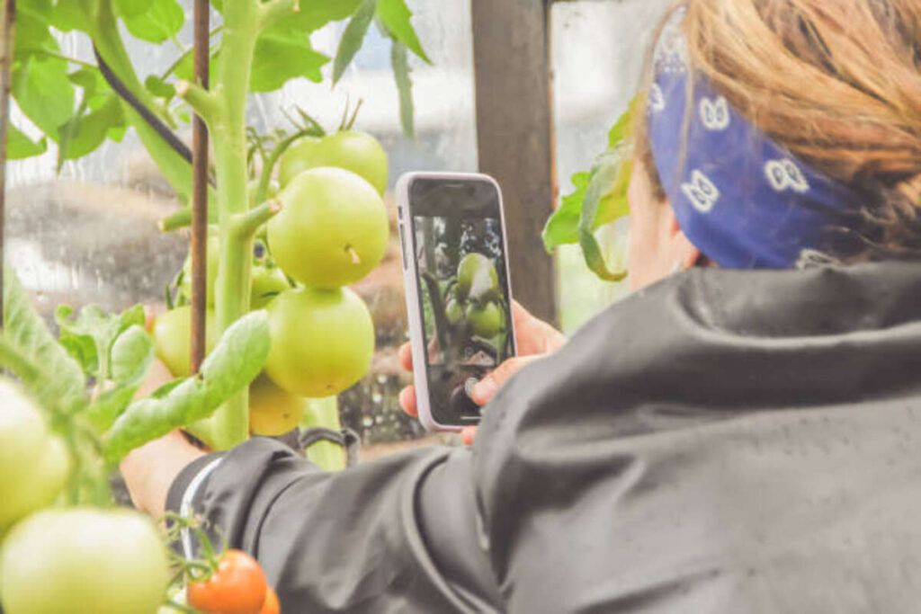 Find Fruit Plants Online at Burpee