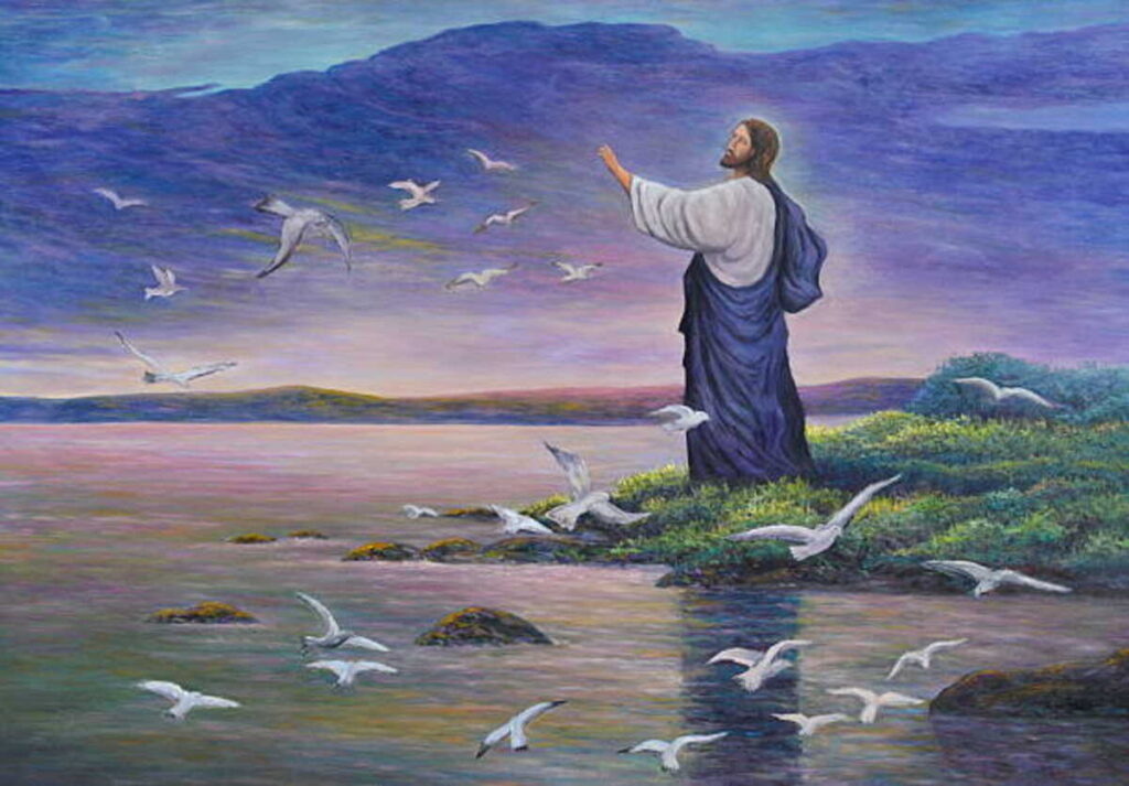 Bible Illustrations