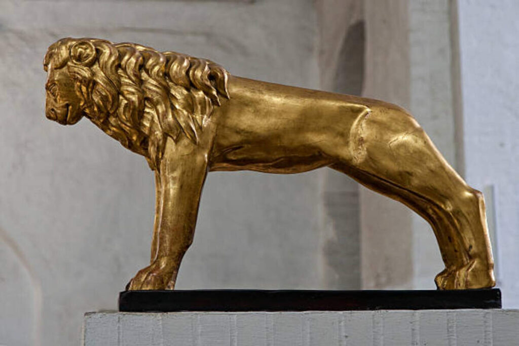 Ethical Considerations in African Lion Taxidermy