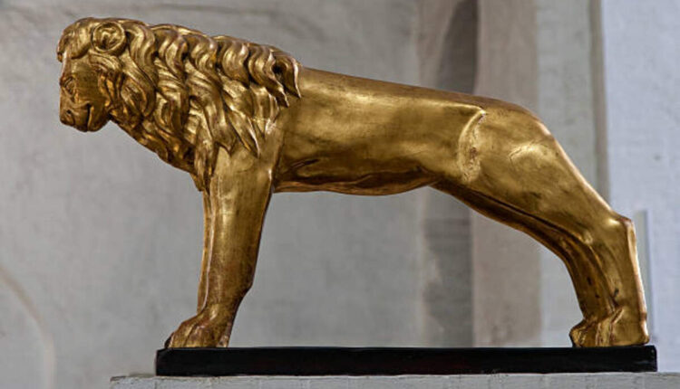 Ethical Considerations in African Lion Taxidermy