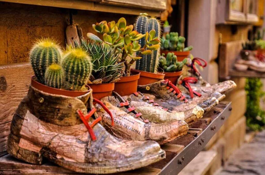 Legal Status of Peyote in Different Regions Unbelievable Insights 7